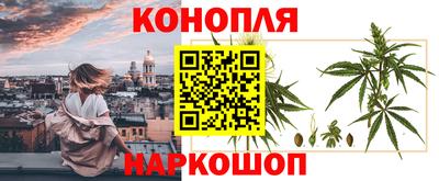 mdpv Заводоуковск
