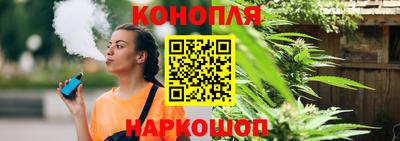 mdpv Заводоуковск