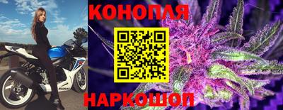 mdpv Заводоуковск