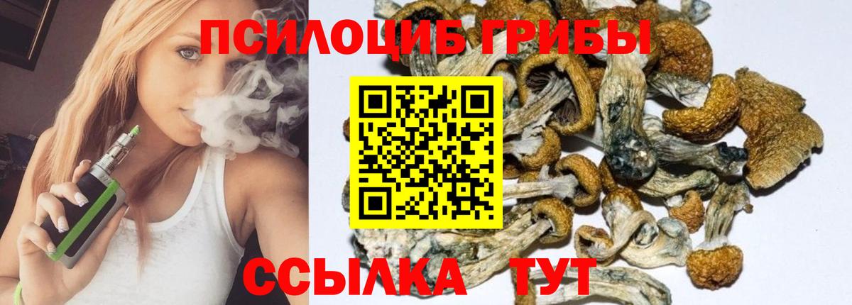 Псилоцибиновые грибы Psilocybine cubensis  Вход с VPN  Псилоцибиновые грибы Psilocybine cubensis  Назрань 